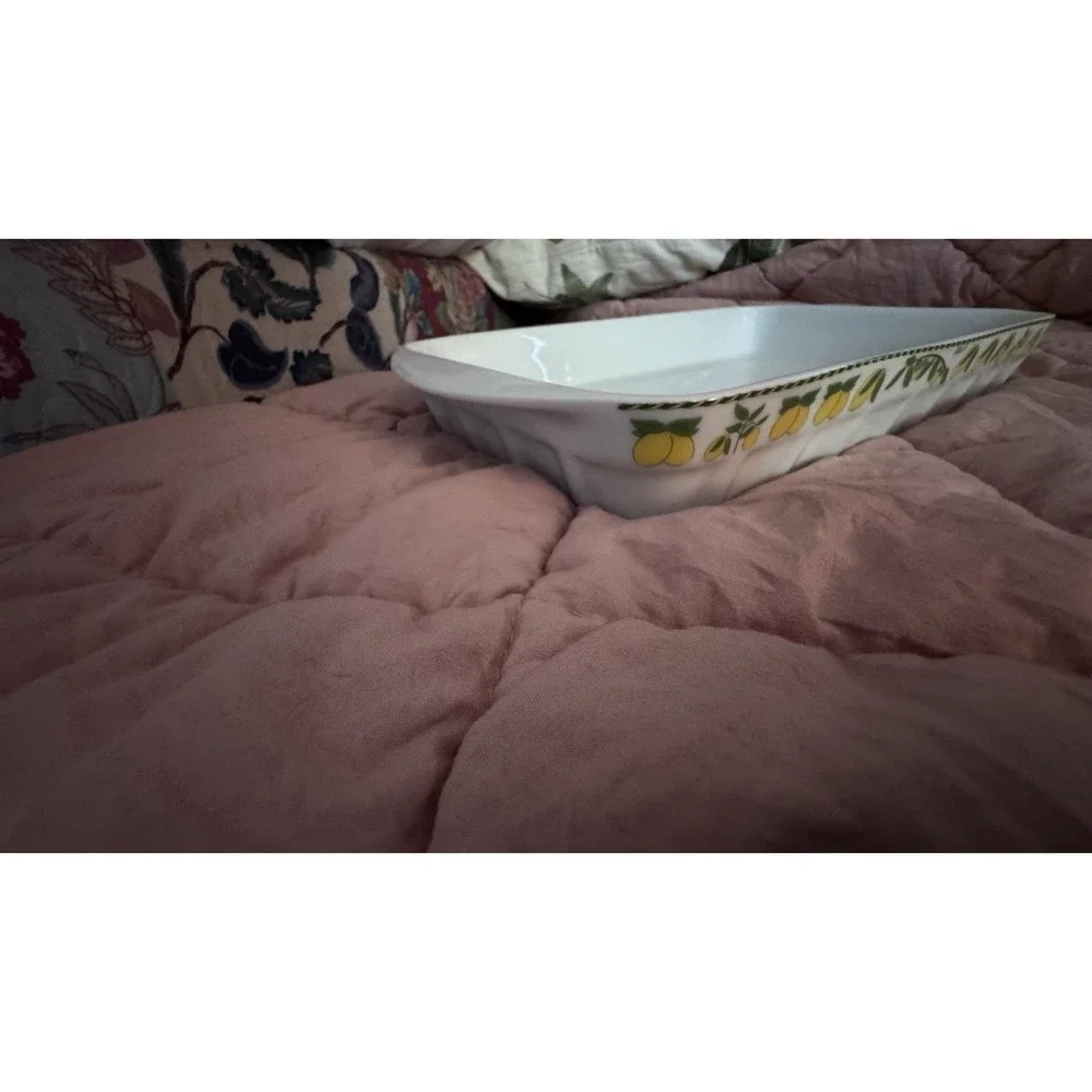 Vtg Porcelaine du Reussy France Lemon Baking Dish‎ Cathie B Citrus Rectangular